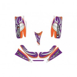 Kit déco complet Exprit Minikart